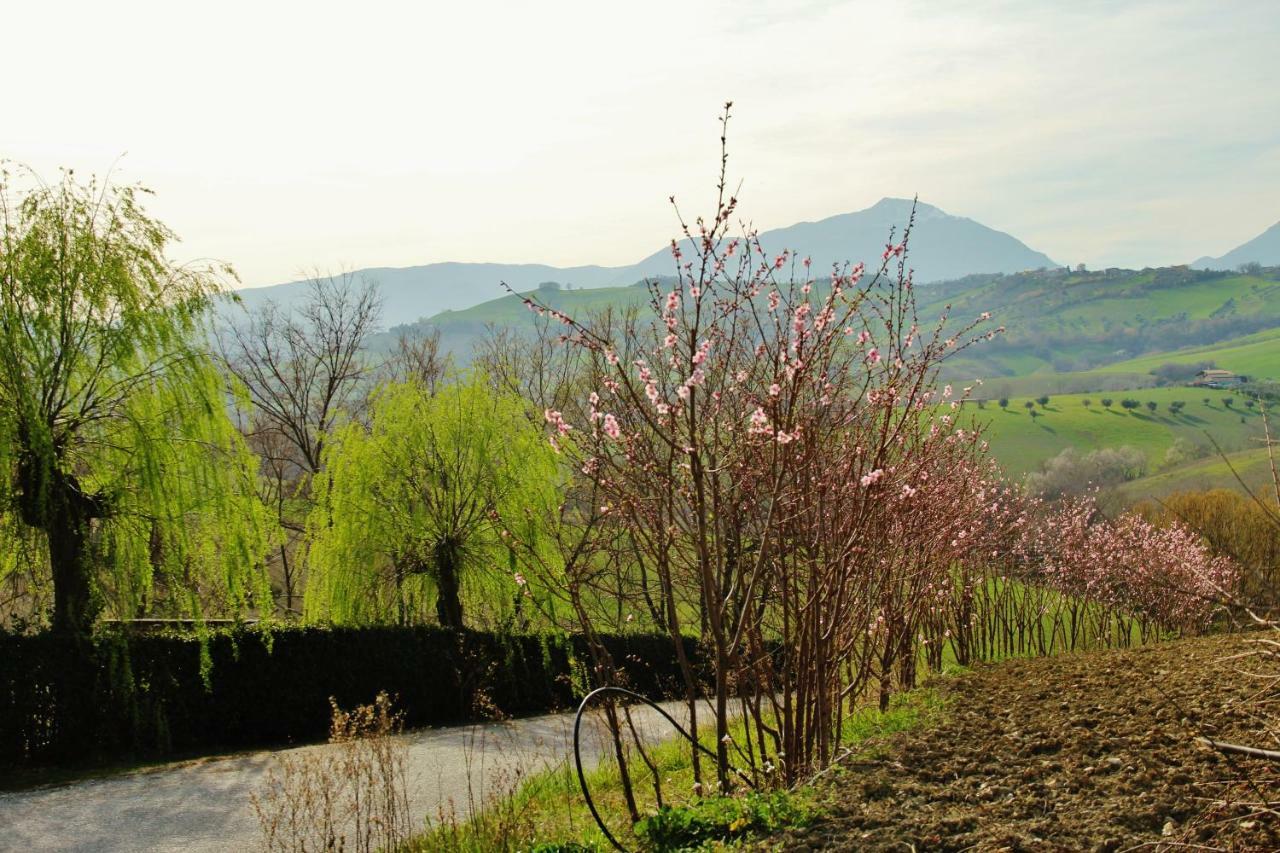 Casa Di Campagna Villa De Luca Bellante المظهر الخارجي الصورة