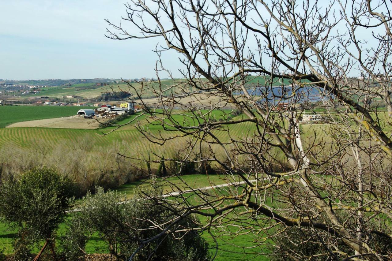 Casa Di Campagna Villa De Luca Bellante المظهر الخارجي الصورة
